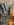 96A71CF9-0A7D-4FAA-B8A6-85B0B1ACFE4E.jpeg