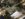 5ED3A7C8-58C9-4AEF-9BDC-E1325F467926.jpeg