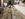 D3D54B62-4246-4673-8EA9-34A005734652.jpeg