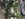 EDD8CB3A-83CD-491B-89AD-A632622979DF.jpeg