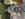01EB74C2-A916-406A-B3BF-BB0DAEBBFA4A.jpeg