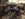 D92B4A58-8736-4BD0-B185-63373D945B33.jpeg