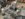 BD5A7B9A-98F7-4AED-B175-B90A27411075.jpeg