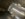 160F683D-9685-4B7E-8314-47E0D0FA06E4.jpeg