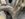 9B431D5F-2838-47AE-89FD-9F2A3315FC4F.jpeg
