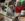 64EFE8A5-A296-4415-9F15-F544B82B463D.jpeg