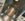 60BE4679-C415-4EA7-BB80-4F79B08AC683.jpeg