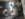 B9C5BC6F-E807-4E78-94E3-0C6B45BFBE31.jpeg