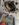 E04D7860-4565-4947-99DC-EBA756A75A3A.jpeg