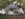 0C7F9F8A-534A-4452-BAE2-AE087D23FAA0.jpeg