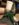 A2C63CFA-E0F4-4361-937E-2E6280123EC3.jpeg
