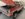 8D6776BE-9832-4A0D-9C45-30BDEACF4CF4.jpeg