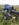 7CC2EFE6-8DC7-4423-AA09-D677BDCEBC02.jpeg