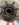 21D6D3E9-3D13-4927-A982-15BCE5BC71E4.jpeg