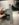 525B8B00-FA90-45BA-8373-78AC0B1C6CD0.jpeg