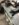 8C742685-775C-4948-B546-7526D5F12419.jpeg