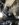 484ACEA6-62CF-4BDE-8BDB-A40B055AD0BC.jpeg