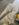 9898957F-1488-4A8F-A365-923D4849C611.jpeg