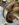 5CFB8072-B099-47E0-822F-49CD056691CE.jpeg