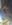 15945879429046213326688234596444.jpg