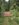 490636E2-A8E3-430D-9BA9-C750705AFE8C.jpeg