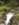 EFCF221C-8999-4984-84F3-12DC54E91304.jpeg