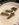 A82C263E-A1B2-4506-8BBD-9214CA20D91B.jpeg
