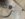 F56AF3F7-6D10-4498-B78C-409E2833DB1A.jpeg