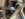 01A422DD-0AD8-4854-8B7C-A254314352E4.jpeg