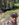 89EC2249-BEB8-434F-9B39-7400A2A972DB.jpeg