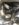 075C0BCC-B07F-4267-9607-8E9377673B43.jpeg