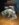 0AE492F4-1F55-4C7C-A008-D587545A150B.jpeg