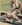 upload_2020-7-17_9-22-46.jpeg