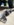 DAE04368-B8CD-4D81-8BC8-2264D40B5D7F.jpeg
