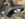 33C59F23-0CD3-451E-9FD9-E88605FC45B0.jpeg