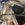 63C4CF4C-DD58-4EBE-9302-E515434397C6.jpeg