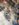 960E42BE-2C68-4484-AFE0-EF0561A303B4.jpeg