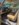7408D58D-0E8B-4171-A9CE-0879ECB8B88C.jpeg