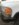 A0AE79D6-E765-411D-8545-417FF61F3582.jpeg