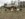 AC4E95D4-58BE-4AA0-875C-7D7B2C4C9C14.jpeg