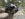 C5B66FF2-D804-46B0-A6E1-93CD49EFF761.jpeg