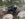 82620A8A-1EF4-44B7-AF0C-FE3BD706EC30.jpeg