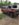87 K5 that caught fire.jpg