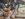 3009E38C-BA08-4524-AAE6-D2413D9C7C78.jpeg