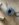 DCA220EE-03C4-4593-AE02-4A5AE4F5416F.jpeg