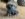 3180A1F2-2D2D-4358-B37C-29902027192D.jpeg
