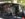 D12F4E14-7C82-41A2-B706-BE099F2CC9F2.jpeg