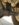 1CE29171-5AEA-4101-9C4C-2F28E229C405.jpeg