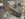 7E174316-A03E-4888-819C-C9B461FDE8BA.jpeg