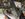 C7D66424-6921-4616-A71D-5C7EFAB716E5.jpeg